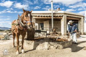 Casa Mezcal Oro de Oaxaca Tlacochahuaya 2