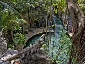 Xcaret.-.-