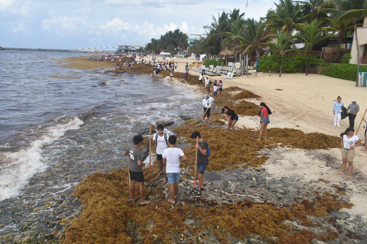 Limpieza en Playa del Carmen