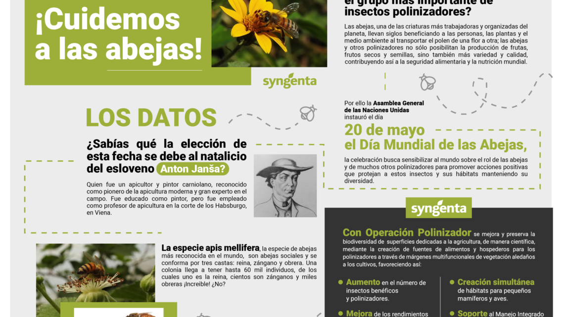 Operación Polinizador: ¡Cuidemos a las abejas!