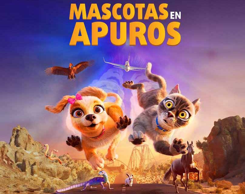 Mascotas en Apuros