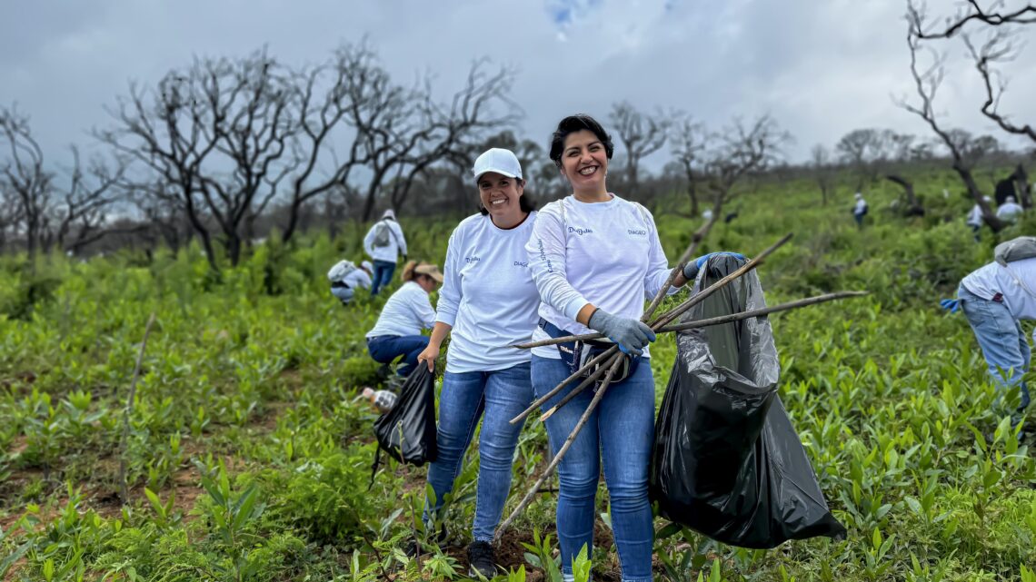 Plantan más de 13 mil árboles en San Lucas Evangelista, Jalisco