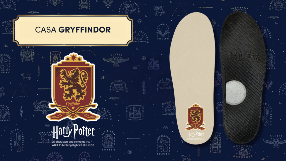 Especial Harry Potter