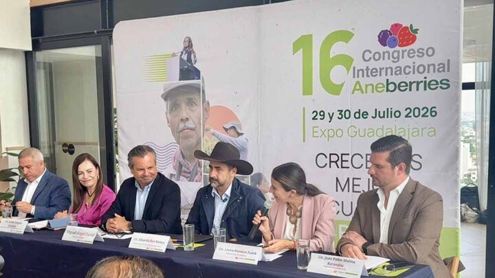 Aneberries presenta