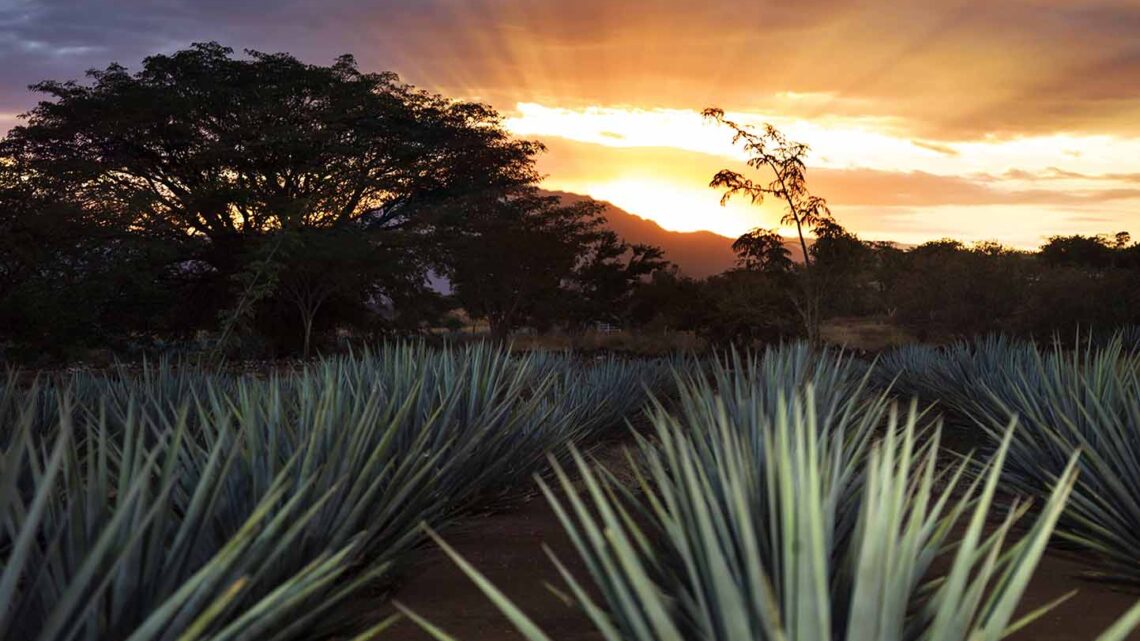 El Pueblo Mágico de Tequila